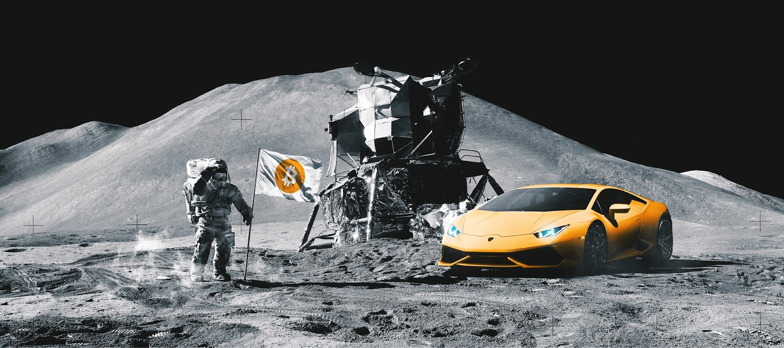 The Top 10 Crypto Memes. What are the most popular crypto