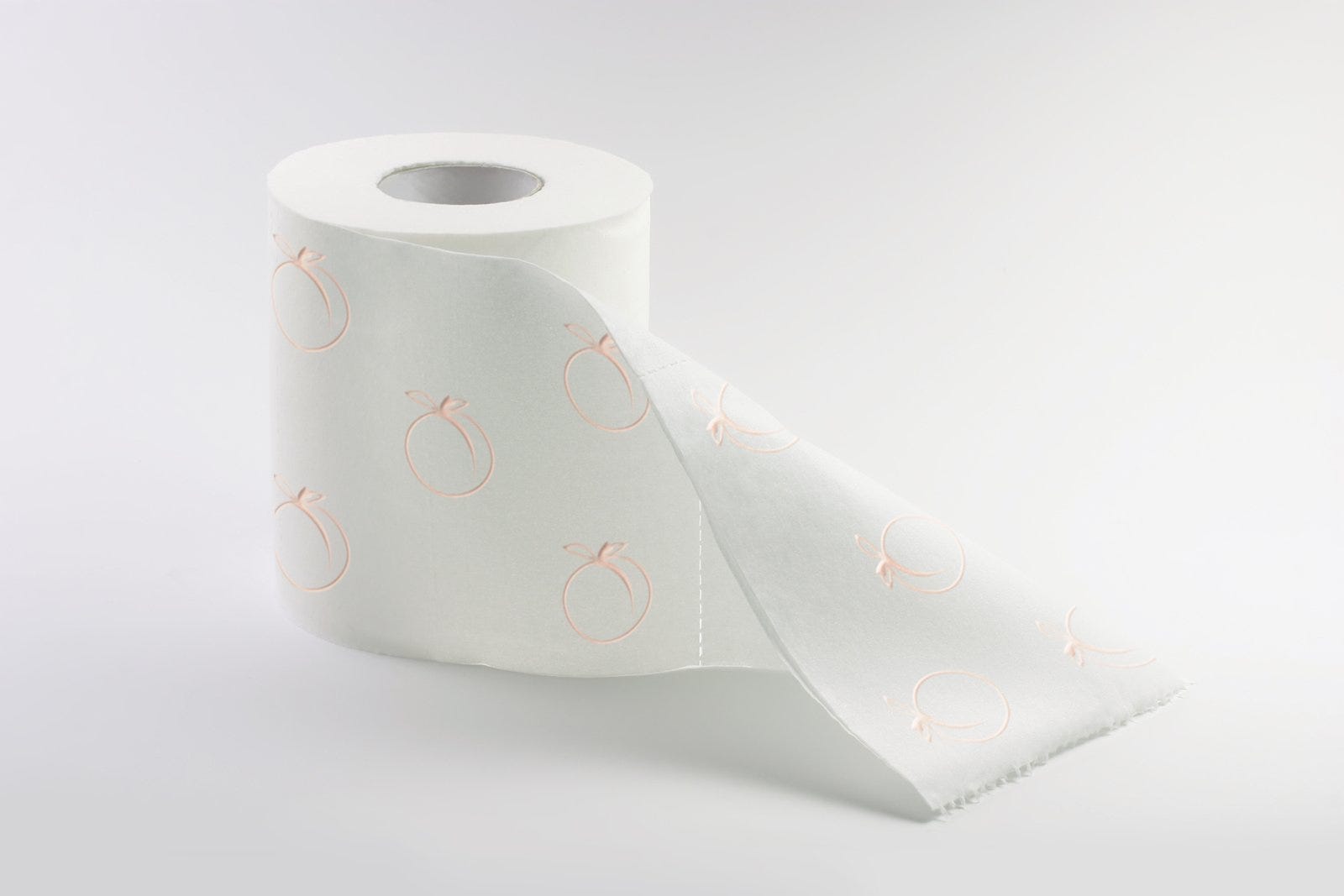 Toilet Paper Subscription Service AllywGetintoit