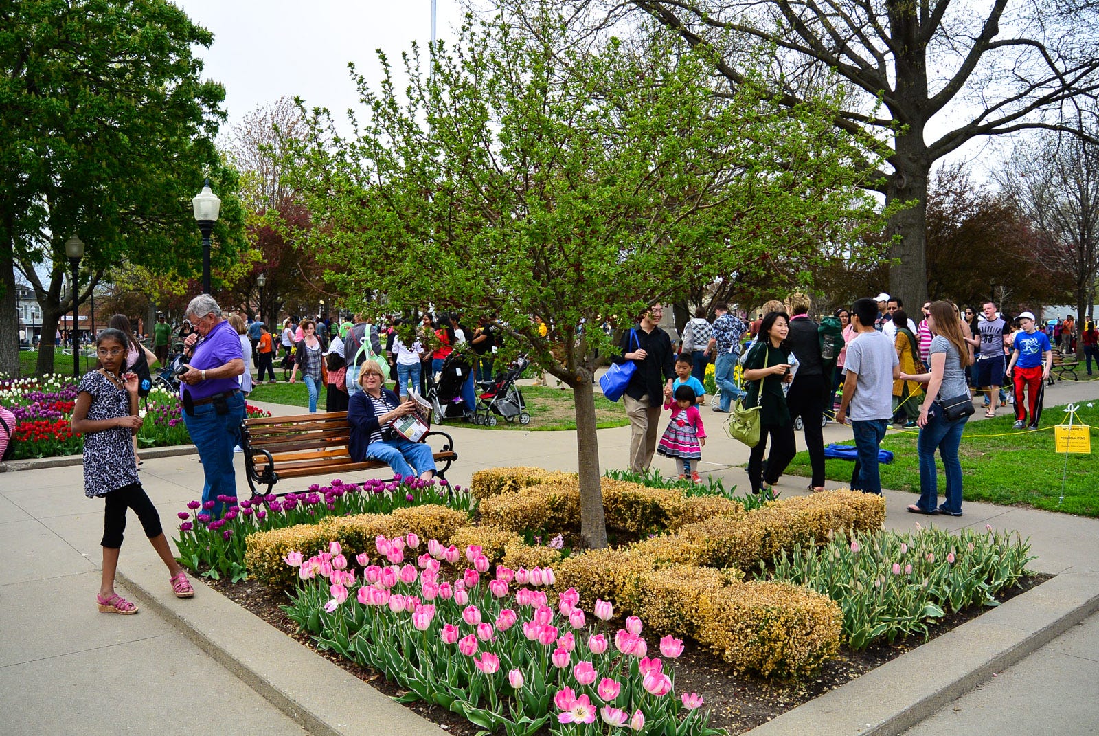 tulip festival pella ia 2023 Pella Tulip Festival Travel and Experiences Medium