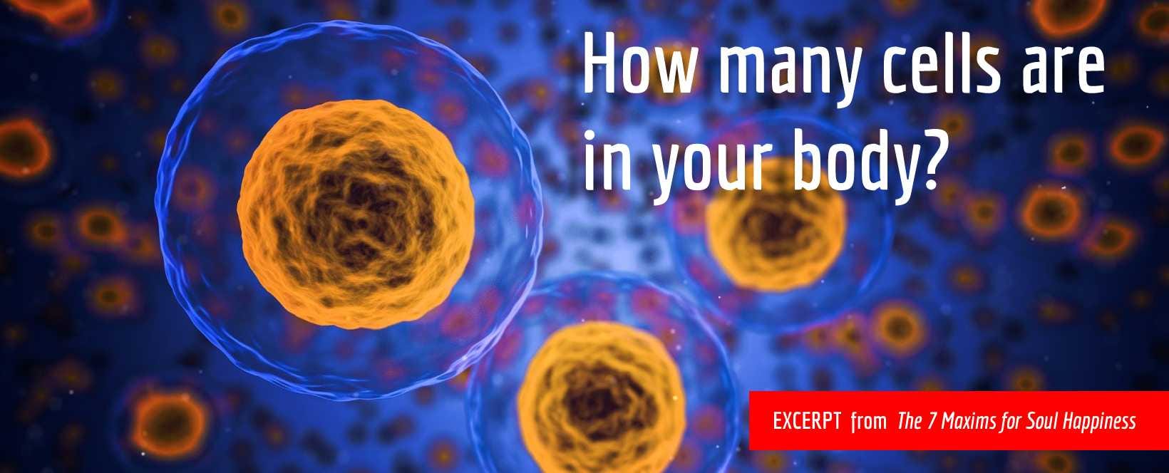 How many cells are in your body?. Each cell has a life span of from a