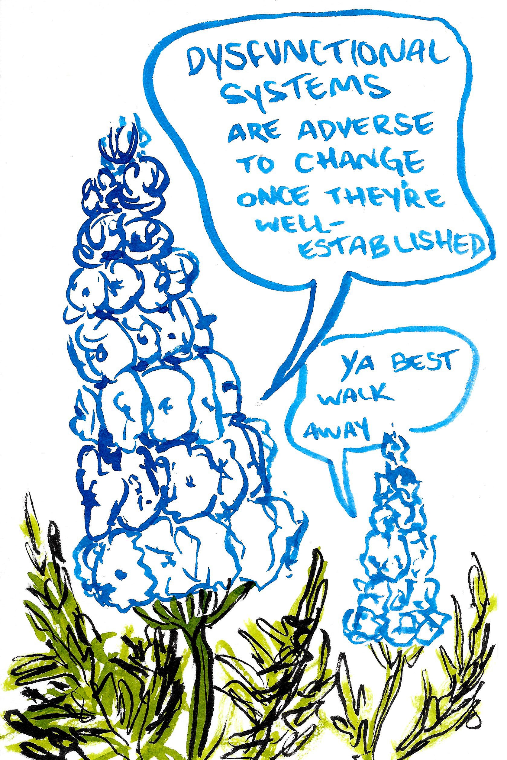 Bad Bitch Wildflowers. Radical Honesty from Mother Nature. by Ashley