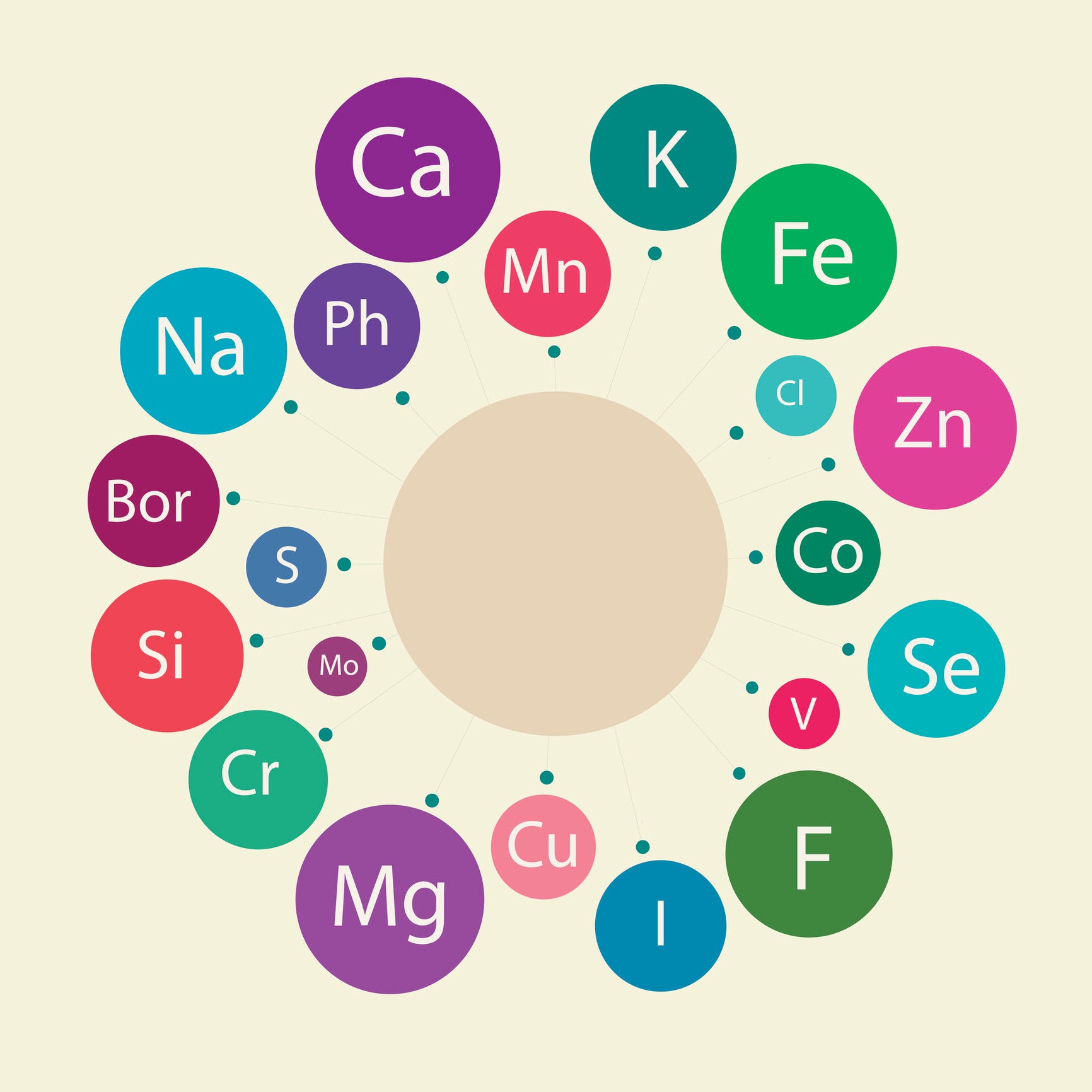 Micronutrients What They Are & Why They Matter by Kaili Meyer