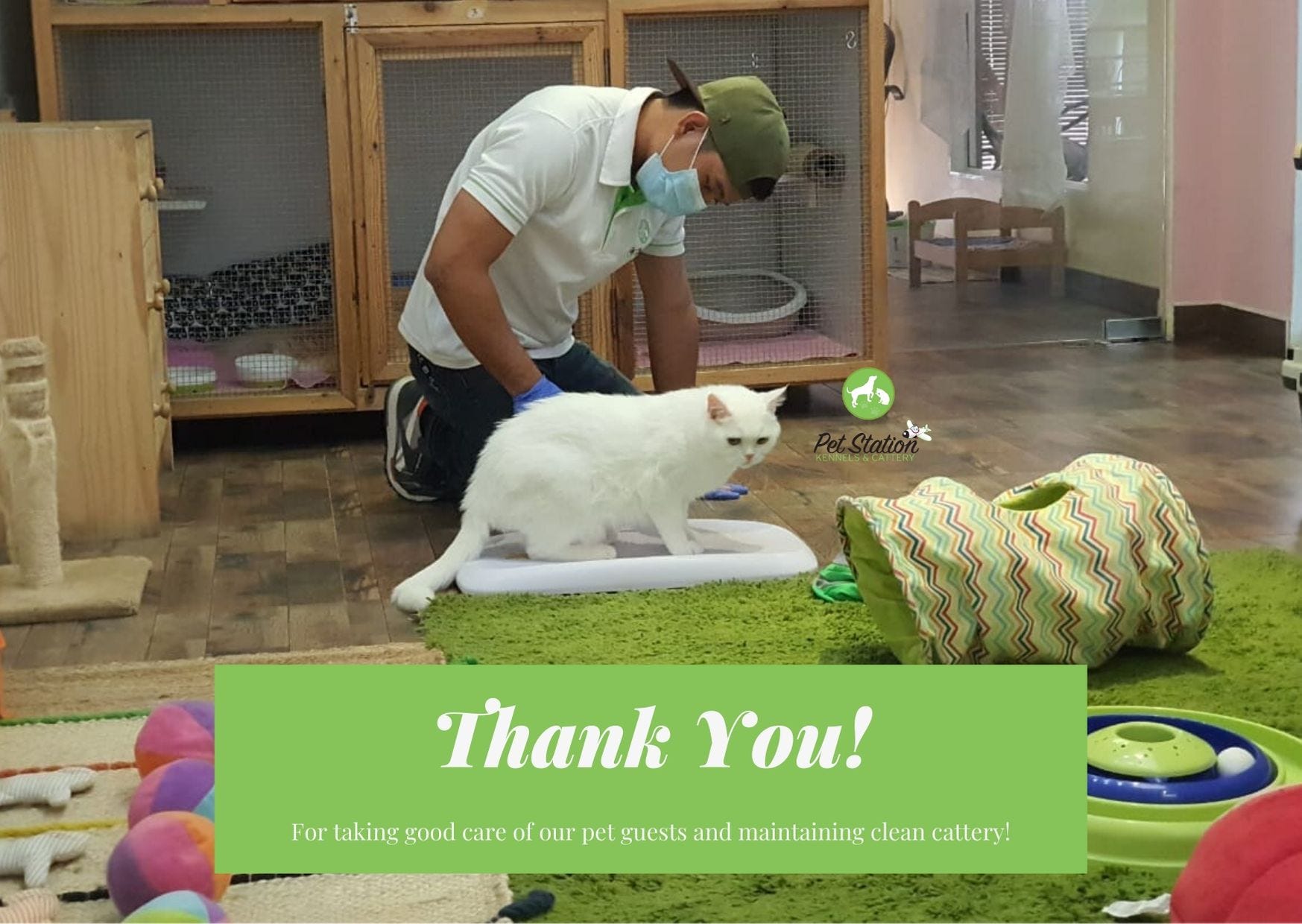 The best Cat Boarding in Dubai. Cat boarding is stressful.. NOT any