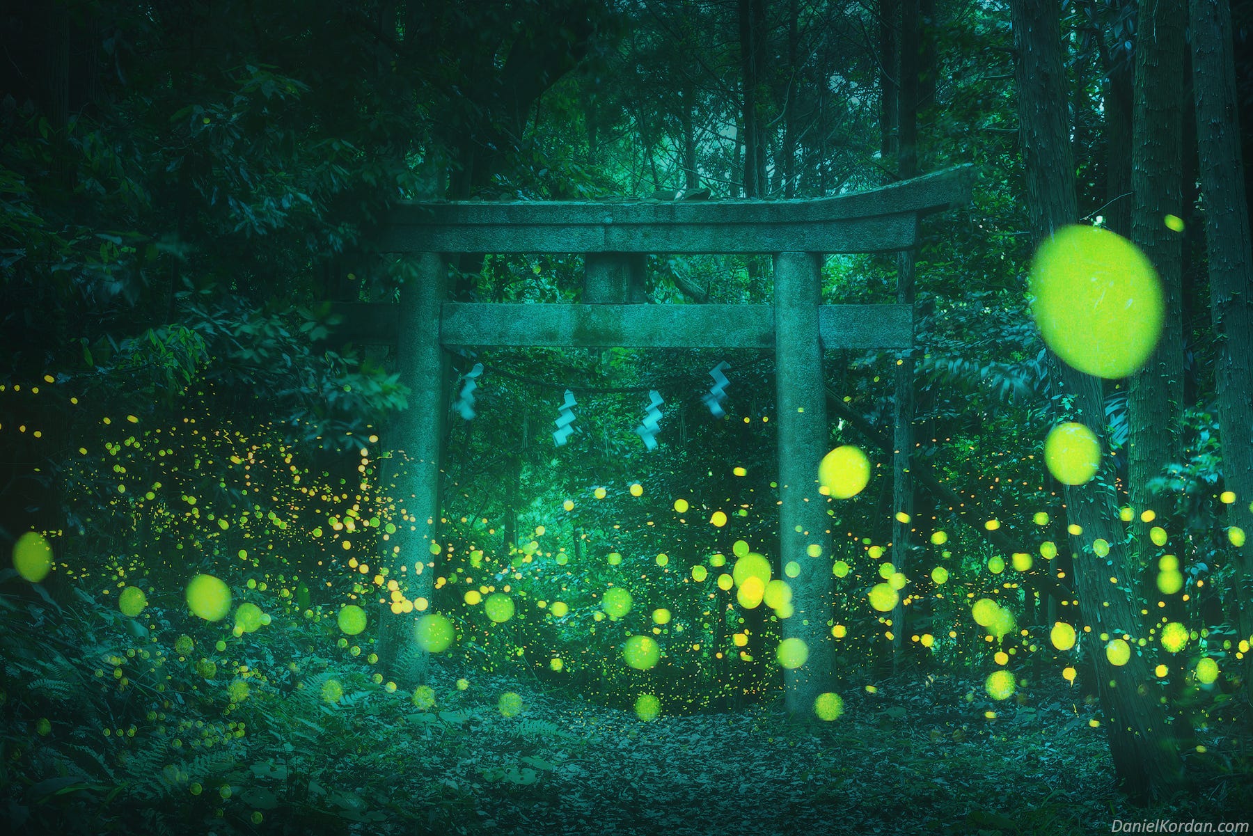 Magical Photos of Fireflies Lighting Up a Japanese Forest | by Jack
