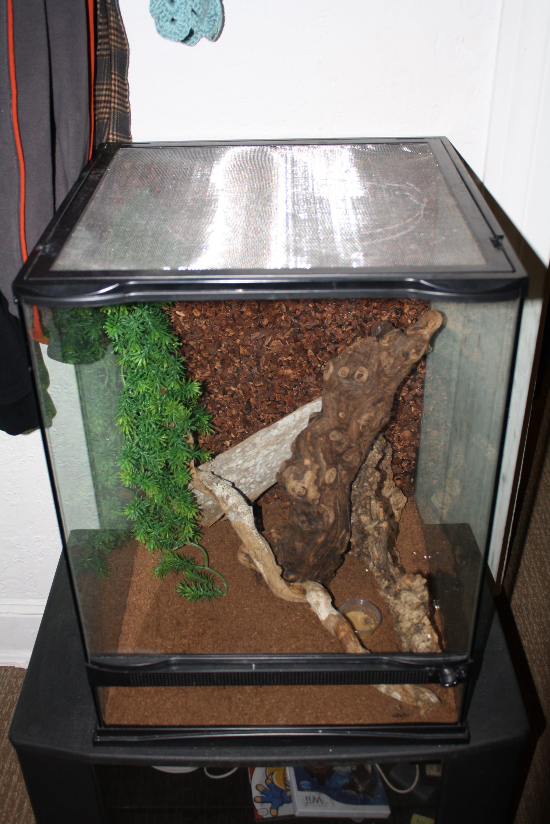 The Complete Crested Gecko Care Guide by Hunter Byrd