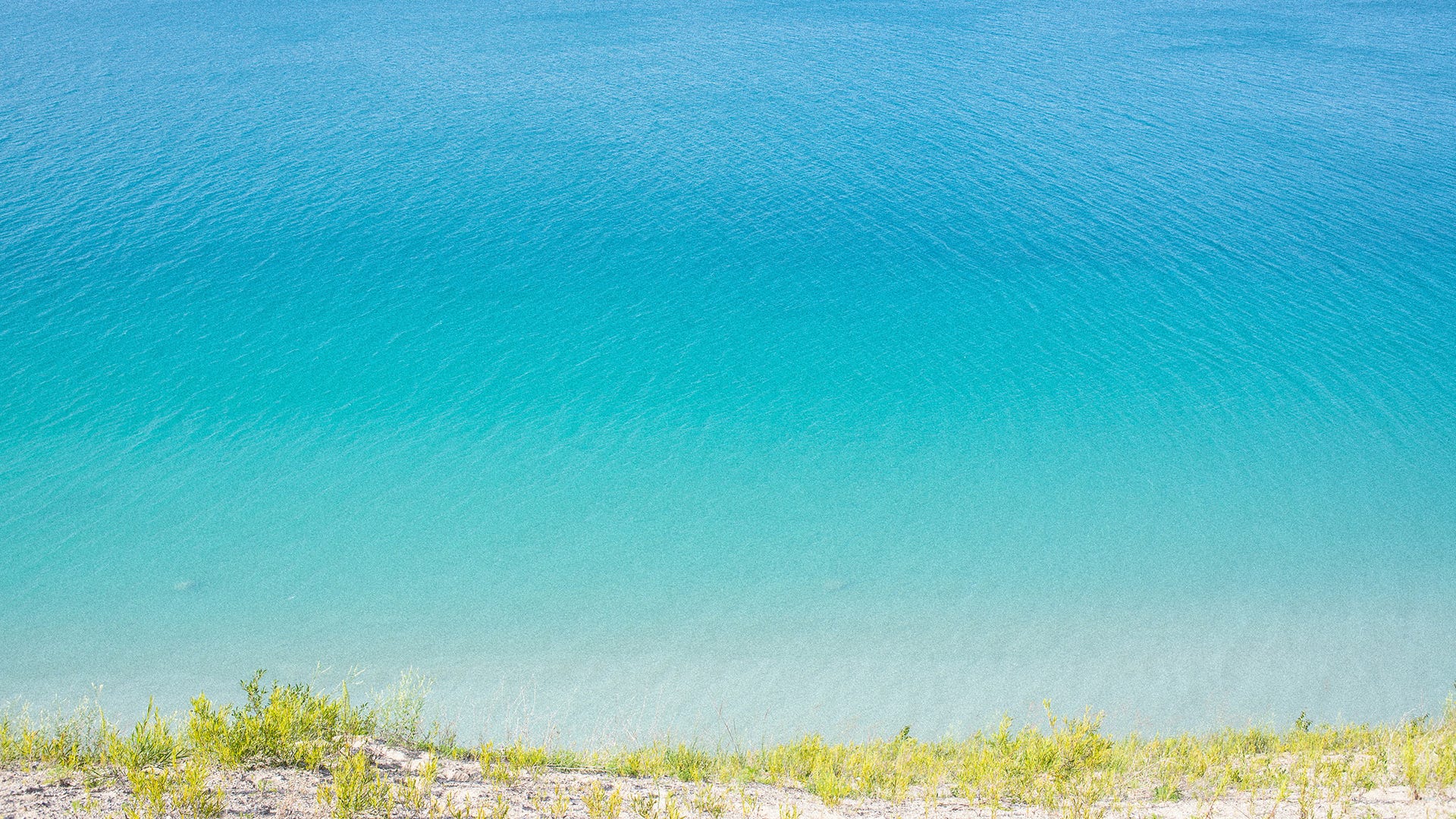 Zoom Background Plain Color Zoom Now Allows A Virtual Background W O