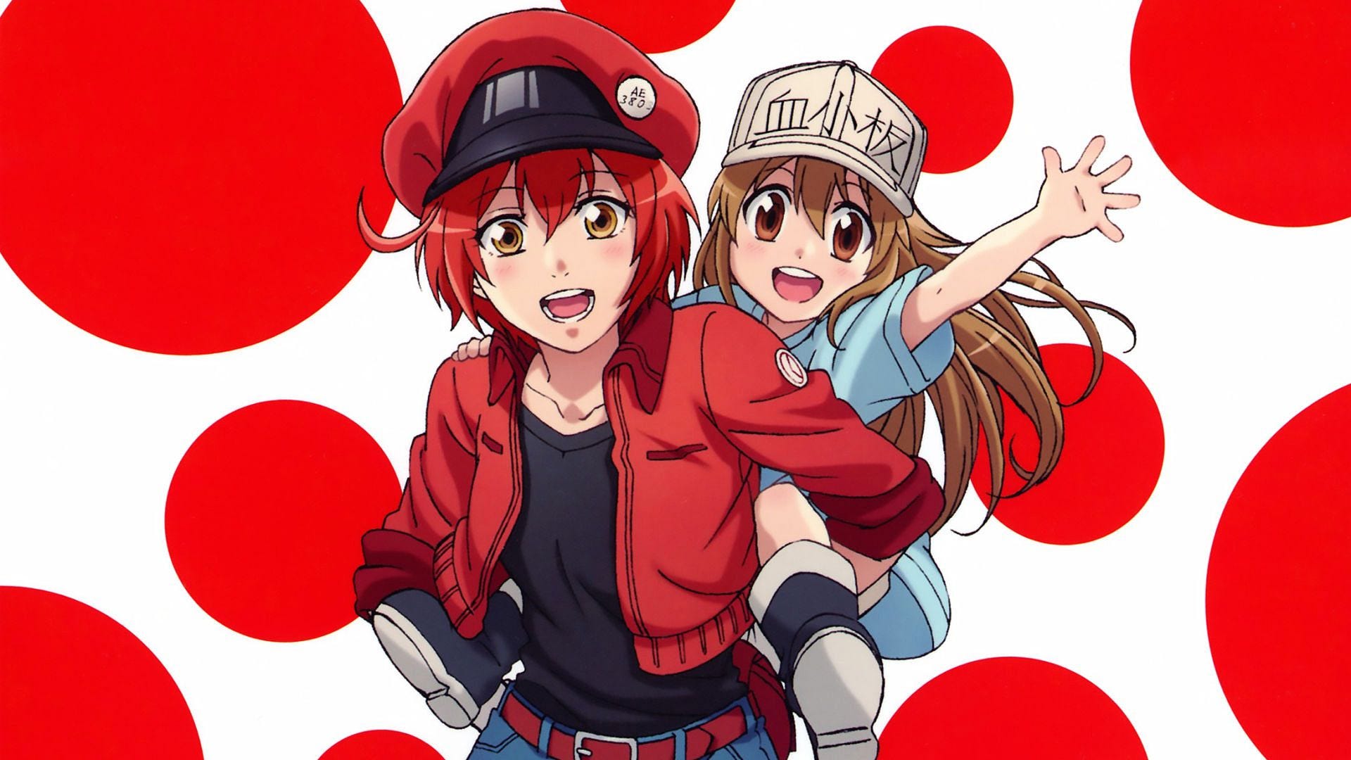 Cells at Work! Season 2 Ep. 1 — Eplsode 1 [[ENGSUB]] Full Episodes