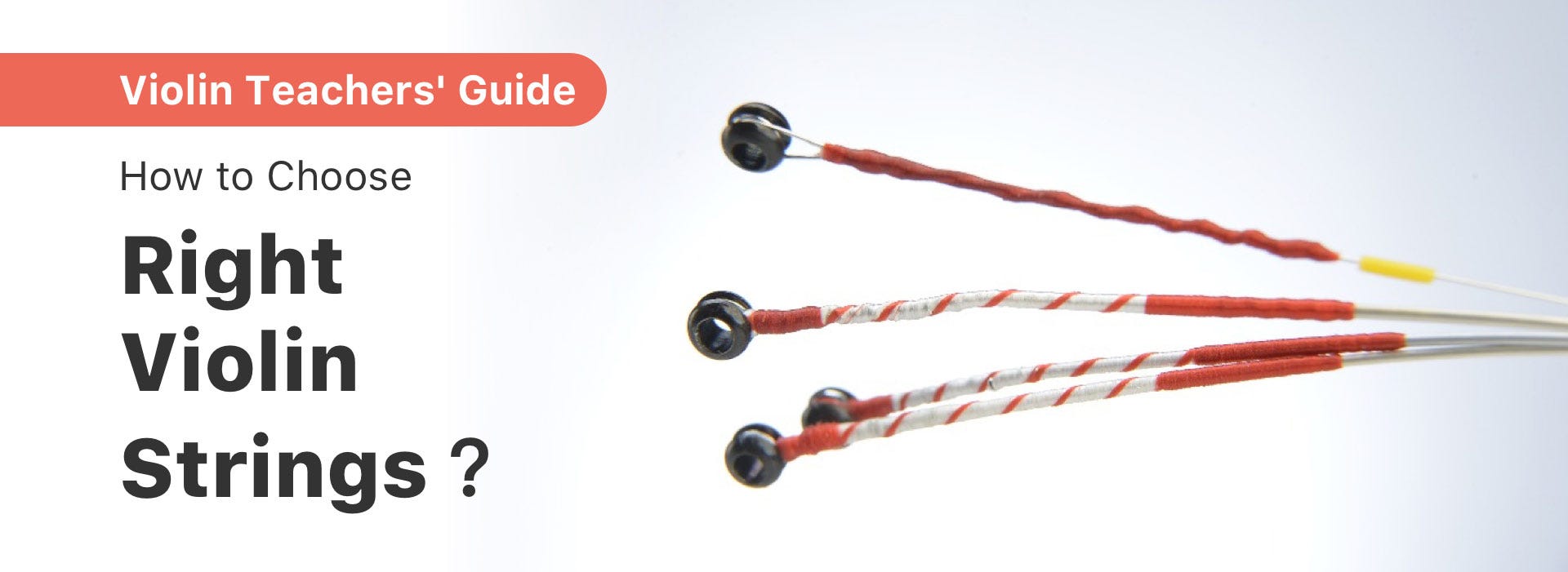 How to Choose Right Violin Strings Violin Teachers’ Guide Violy Blog