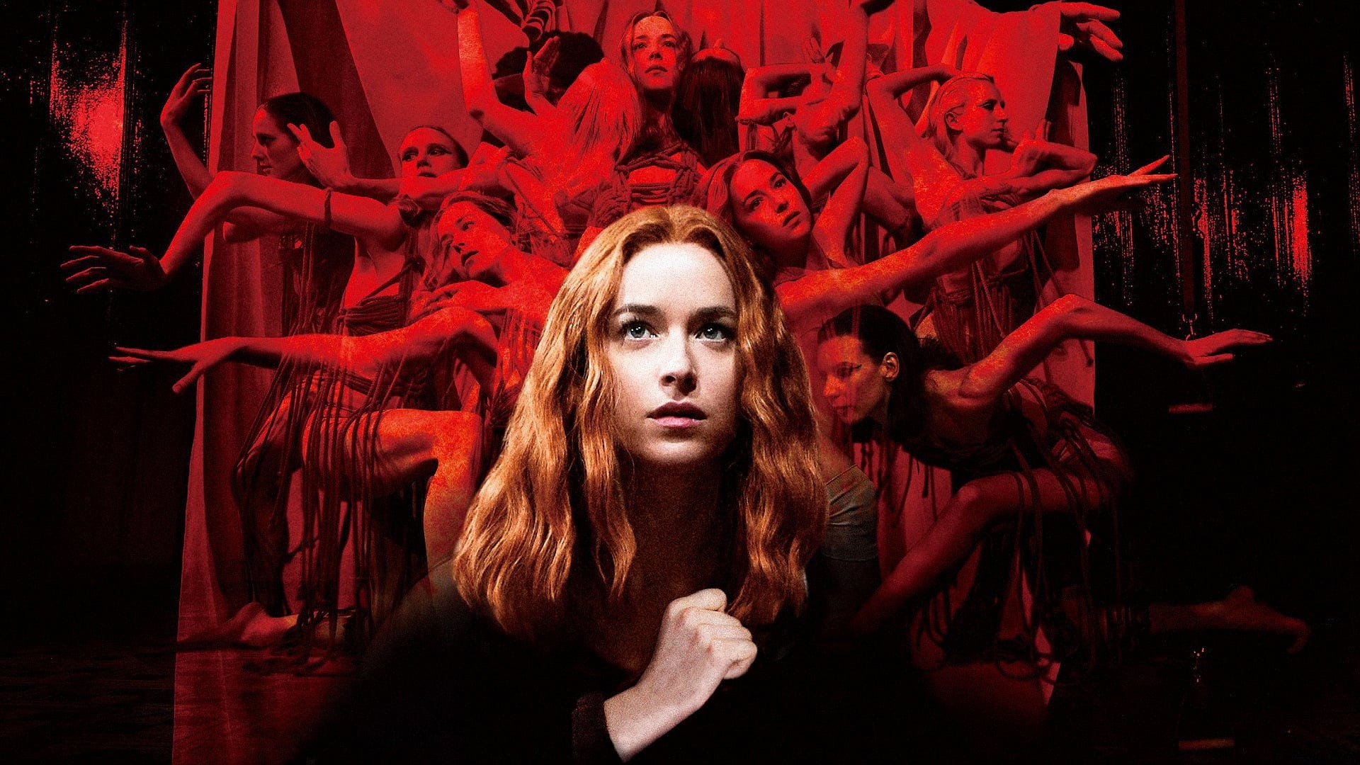 Suspiria (2018) A voiceless terror Essential Movies The Mastershots
