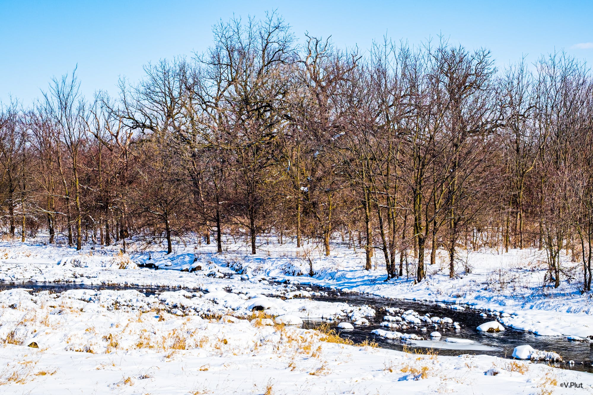 Winter at the Aux Sable Creek. A Free Verse by V. Plut Lit Up Feb