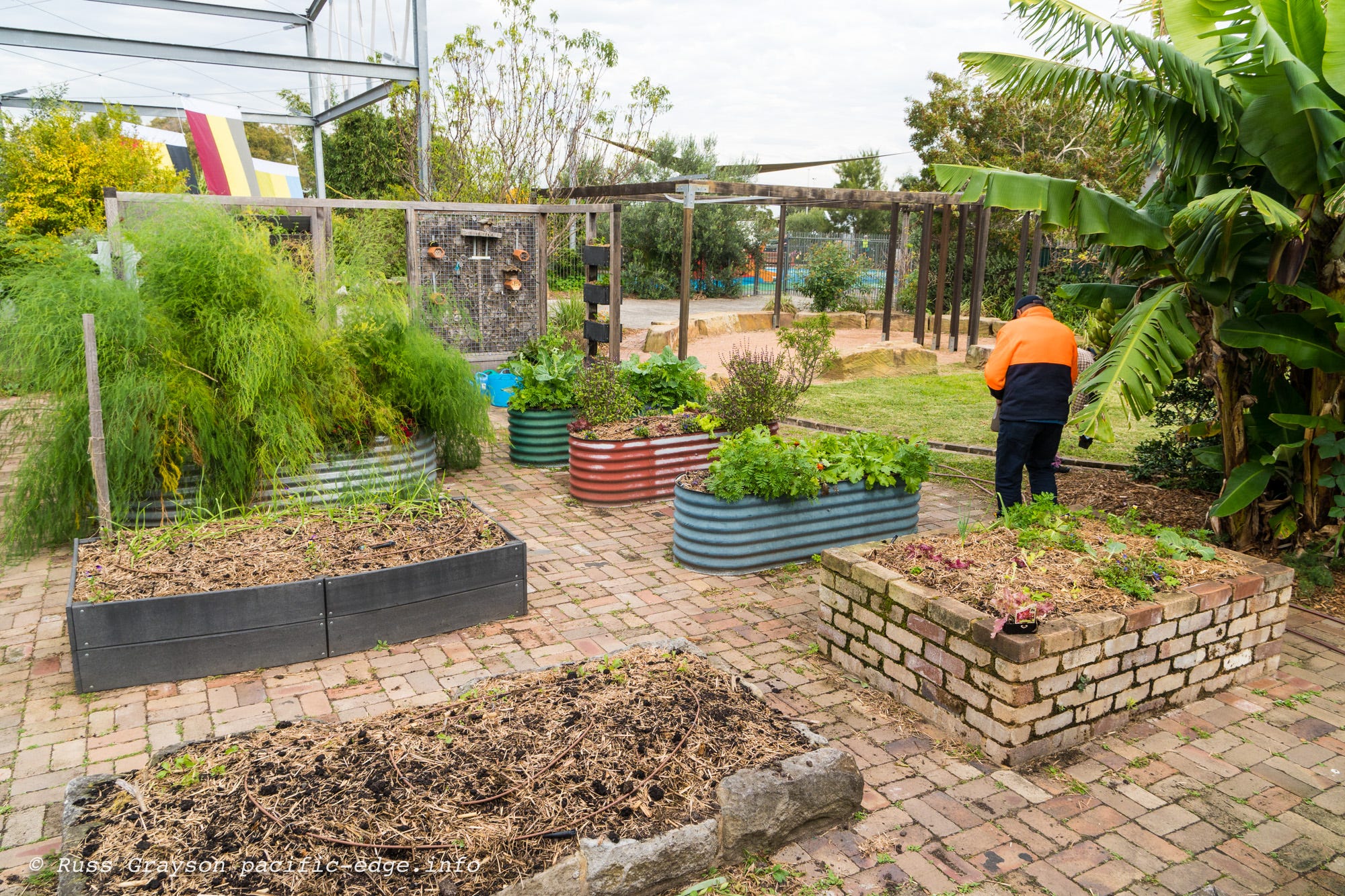 The 11 of permaculture PERMACULTURE 3.0 Medium