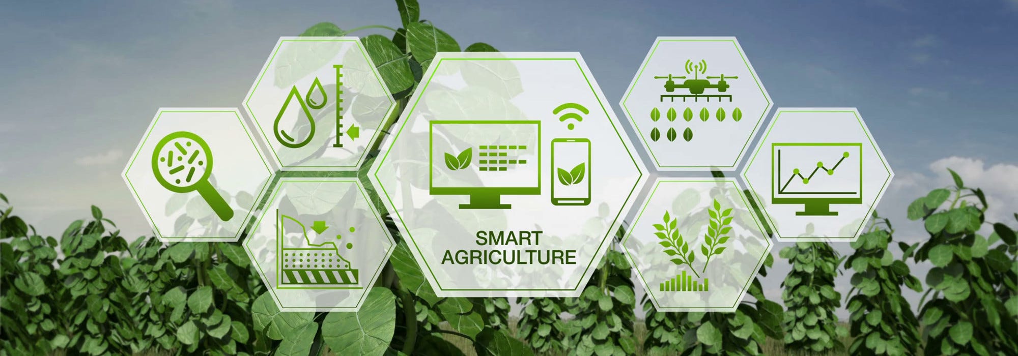 Make your house plants and home garden thrive with a connected, smart