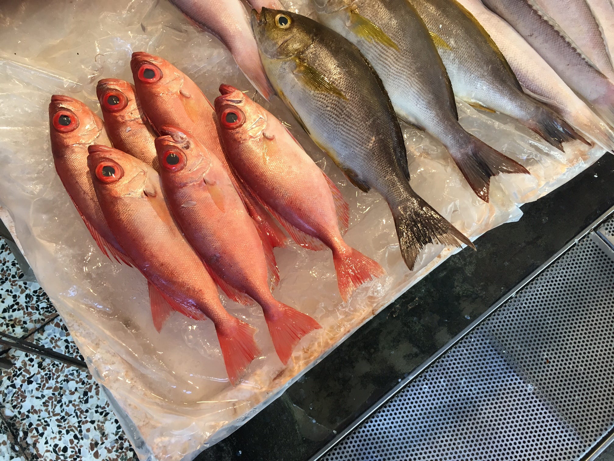台湾の魚. 基隆（Keelung）でエキサイティングな魚市場を見つけたのでご紹介。 by tanu Tail Lab Medium