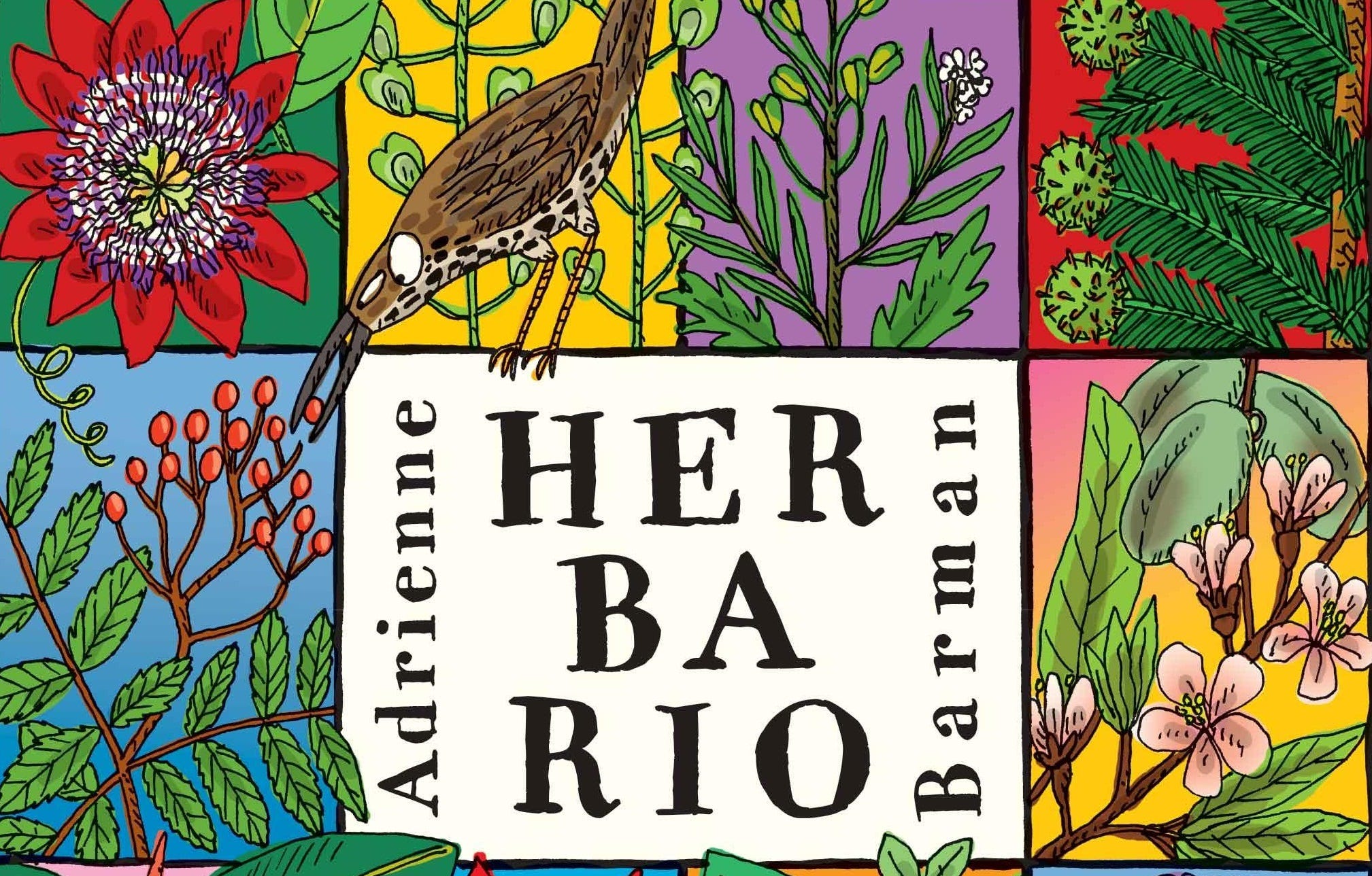 Caratulas De Herbarios A un SEXTO de La Caleta LOS HERBARIOS Y LOS
