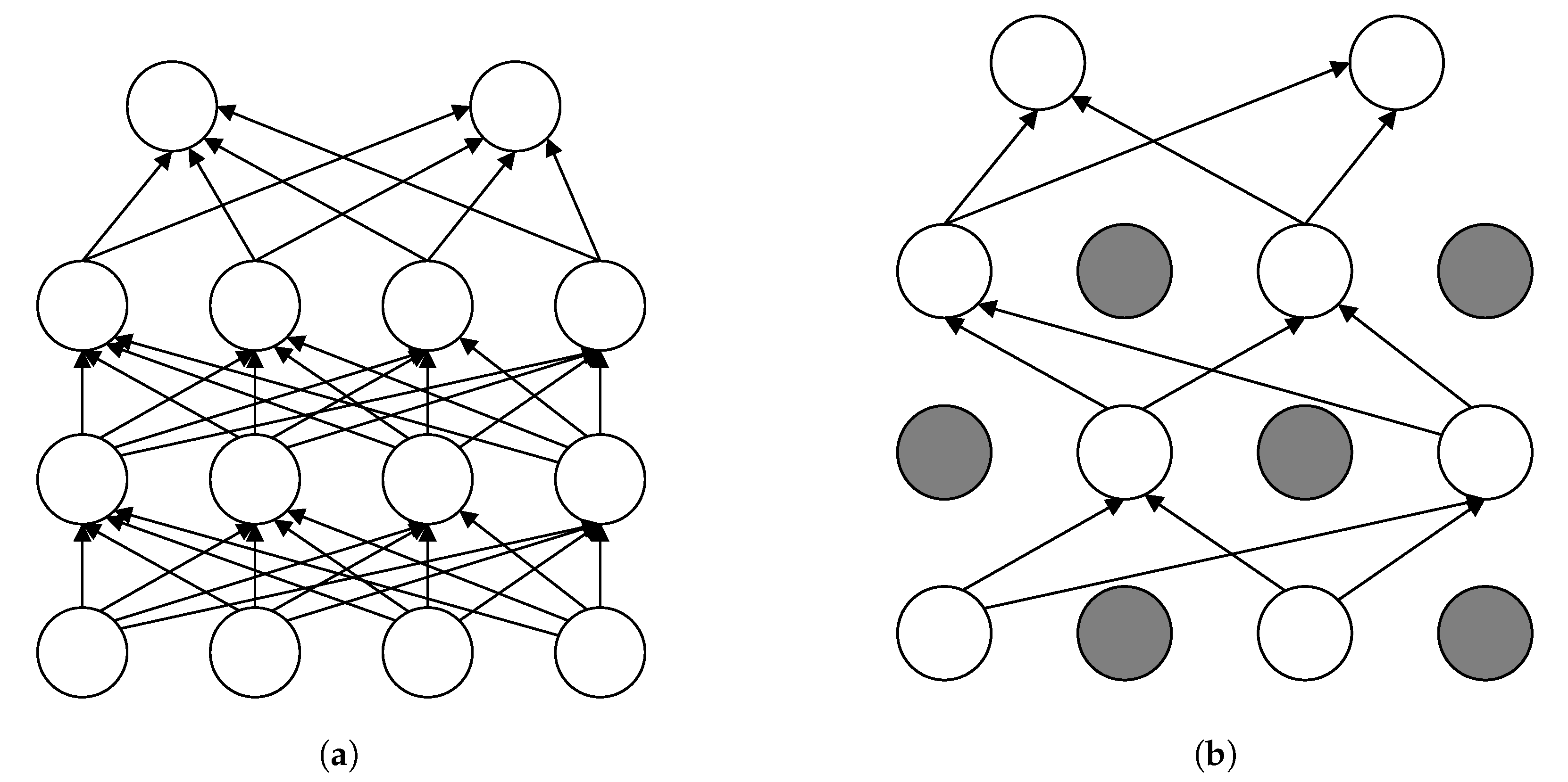 Understand Neural Networks & Model Generalization by