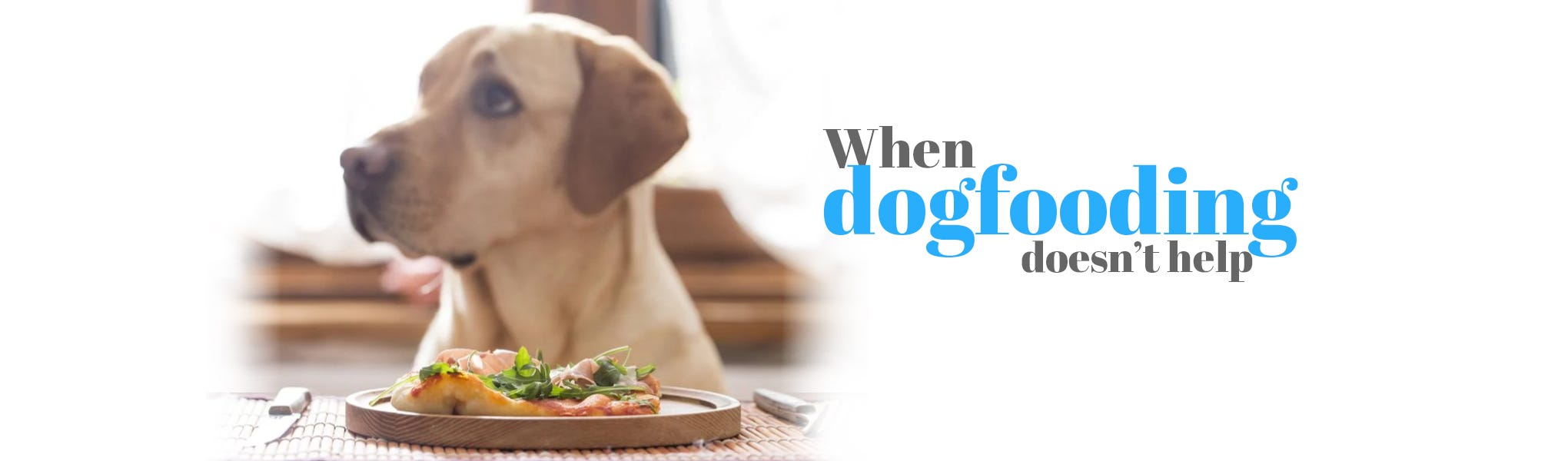 When dogfooding doesn’t help UX Collective