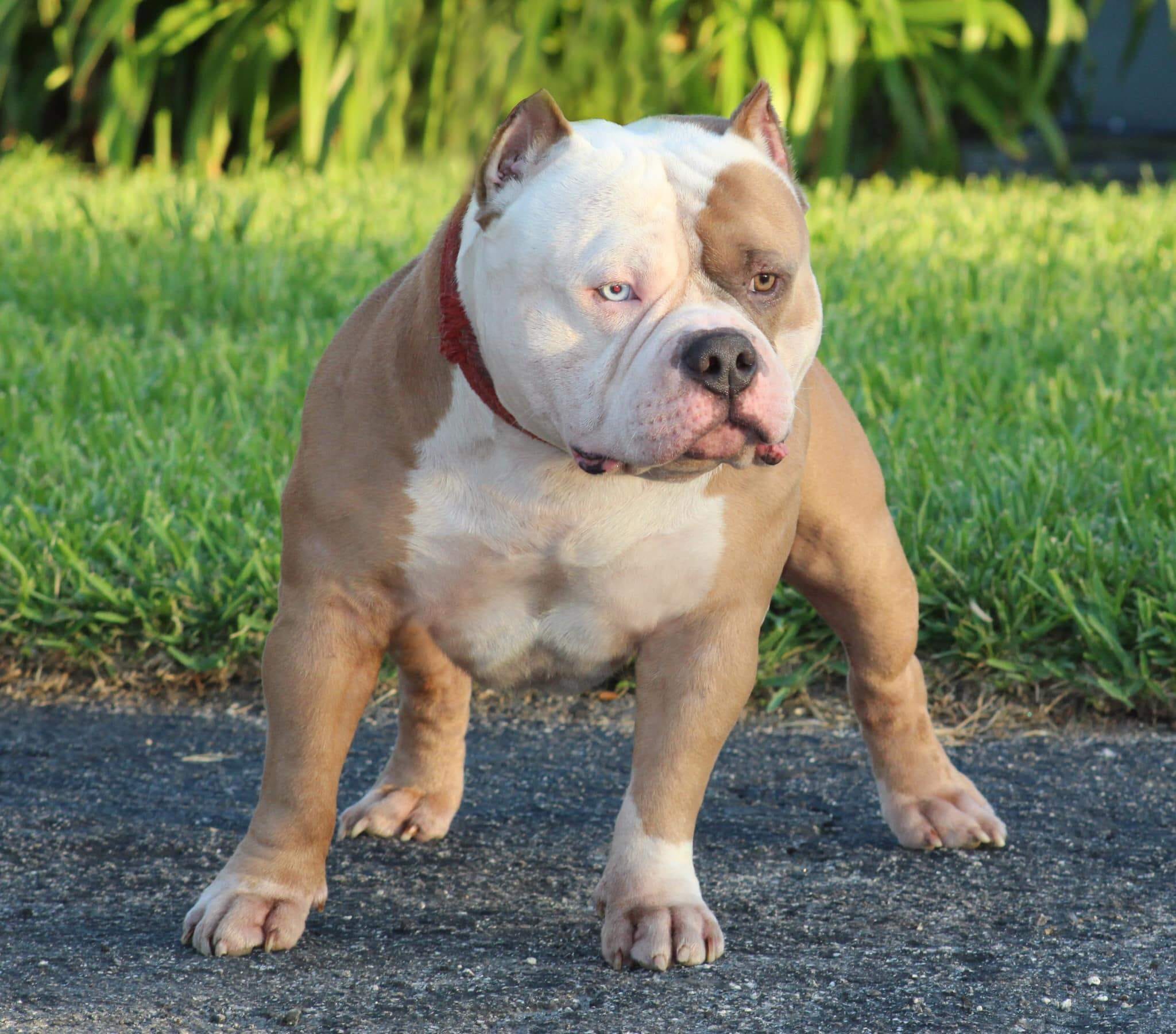 7 FEMALES UNDER 18 MONTHS OLD THAT WILL BLOW YOUR MIND TOP POCKET