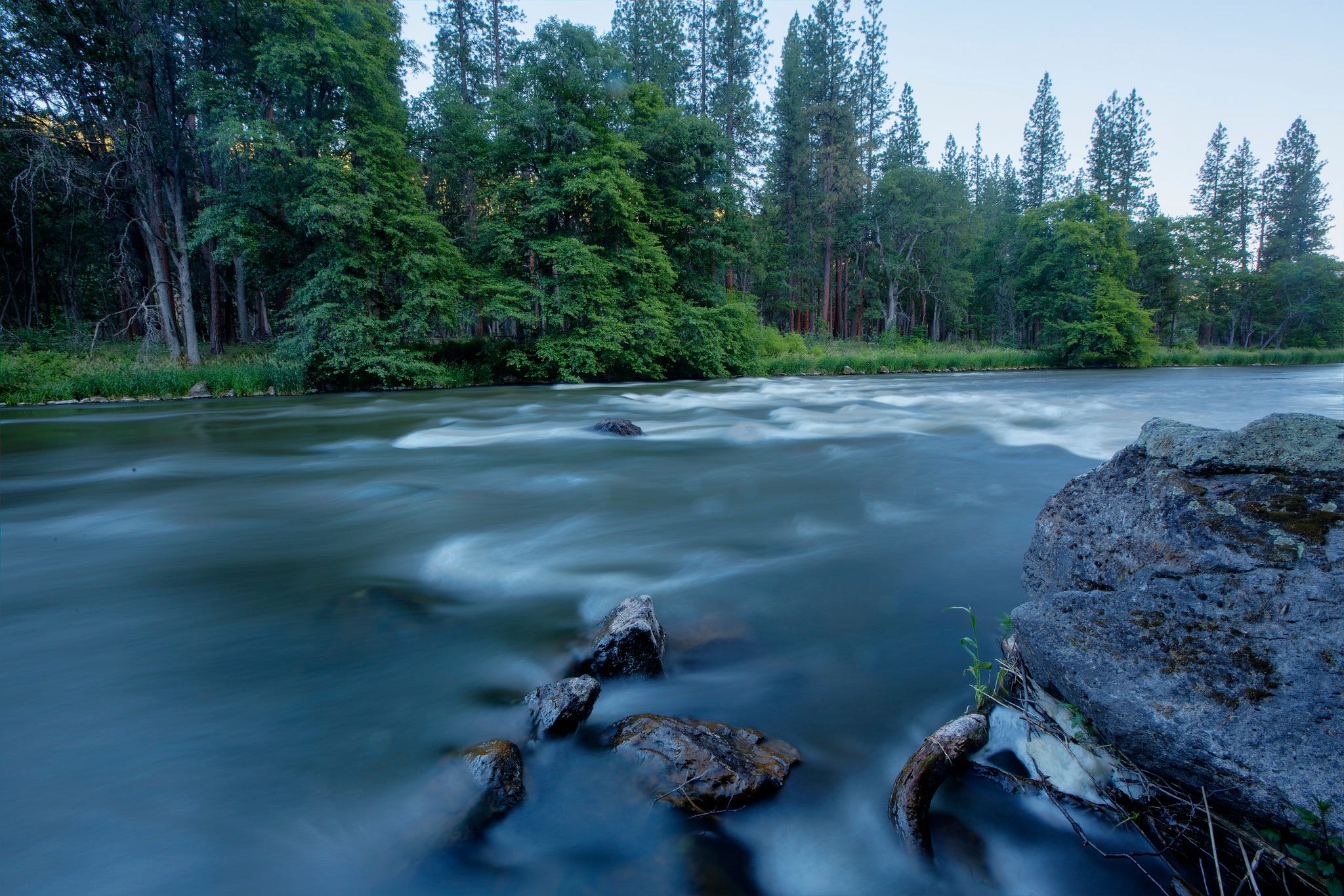 They Tried to Tame the Klamath River. They Filled It With Toxic Algae