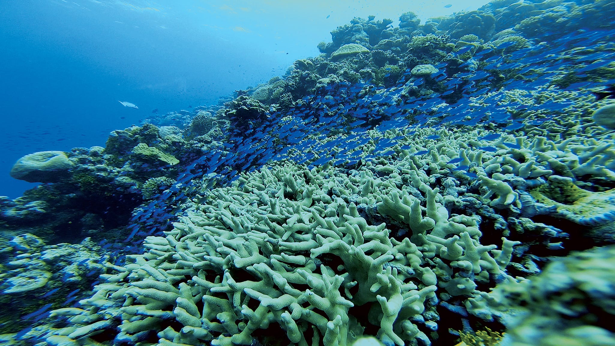 What Bikini Atoll Looks Like Today by Stanford Magazine Stanford