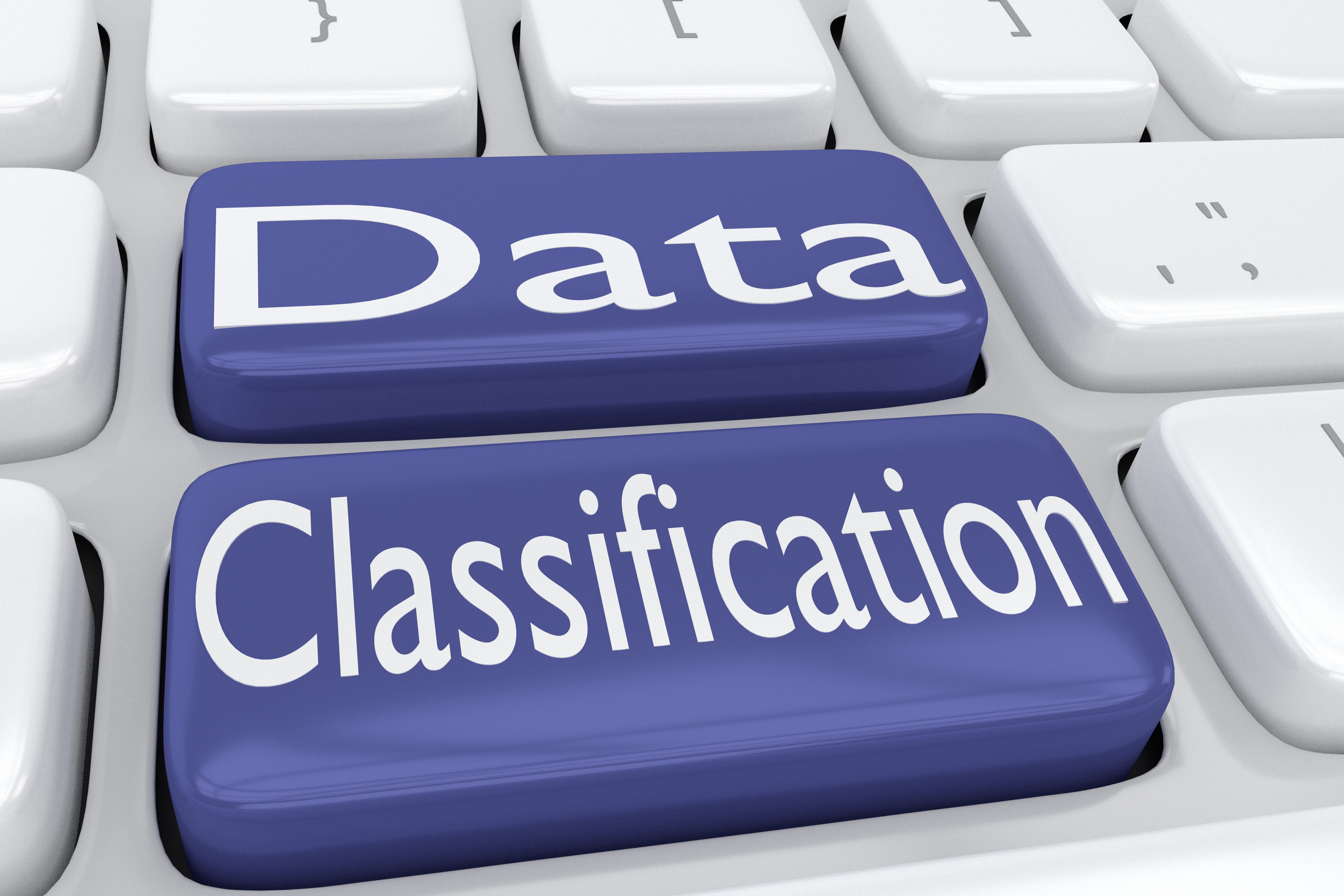 Data Classification Services for Data Science & Machine Learning