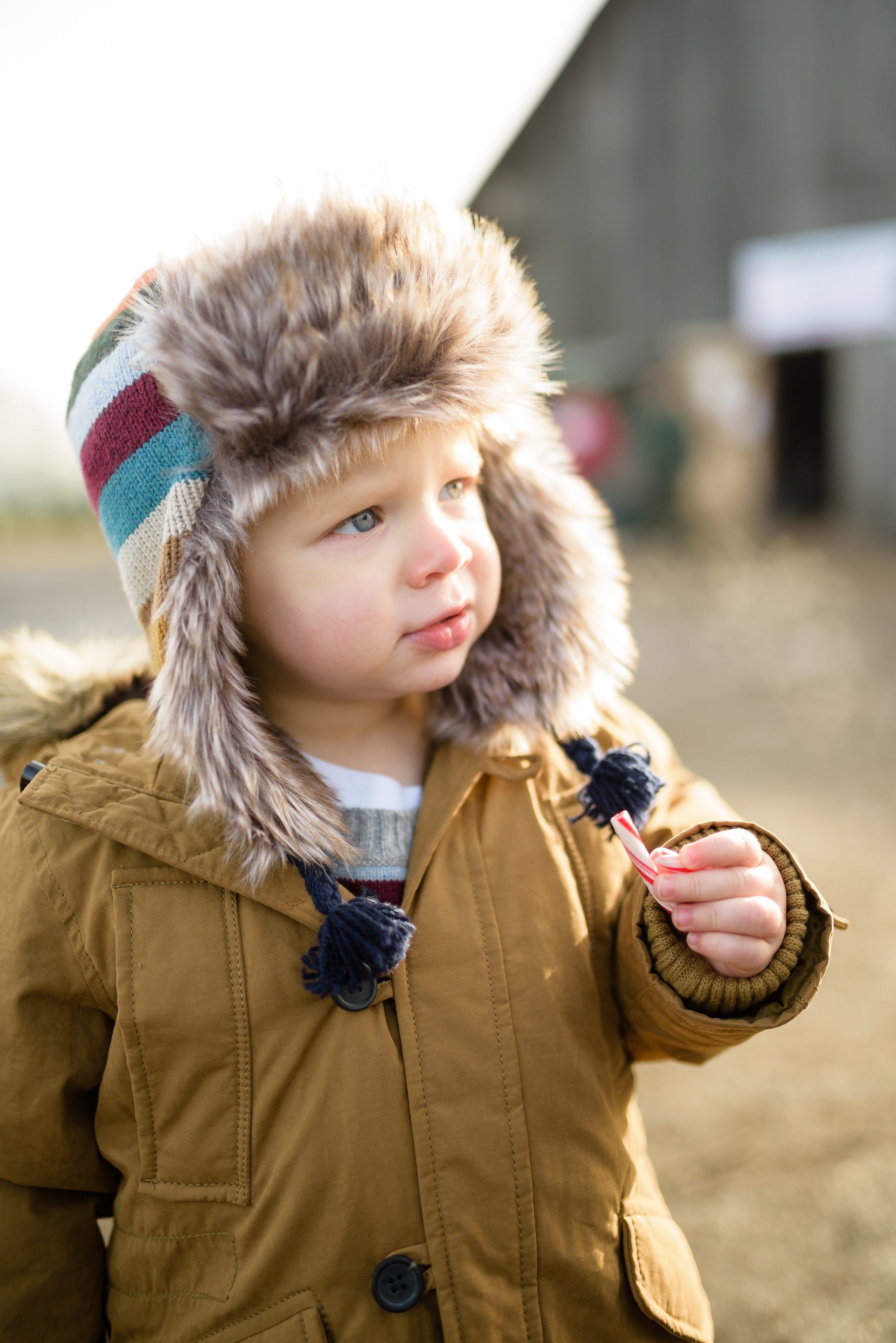 Hunting for a Christmas tree. at Thorntons’ Treeland in Vancouver… by