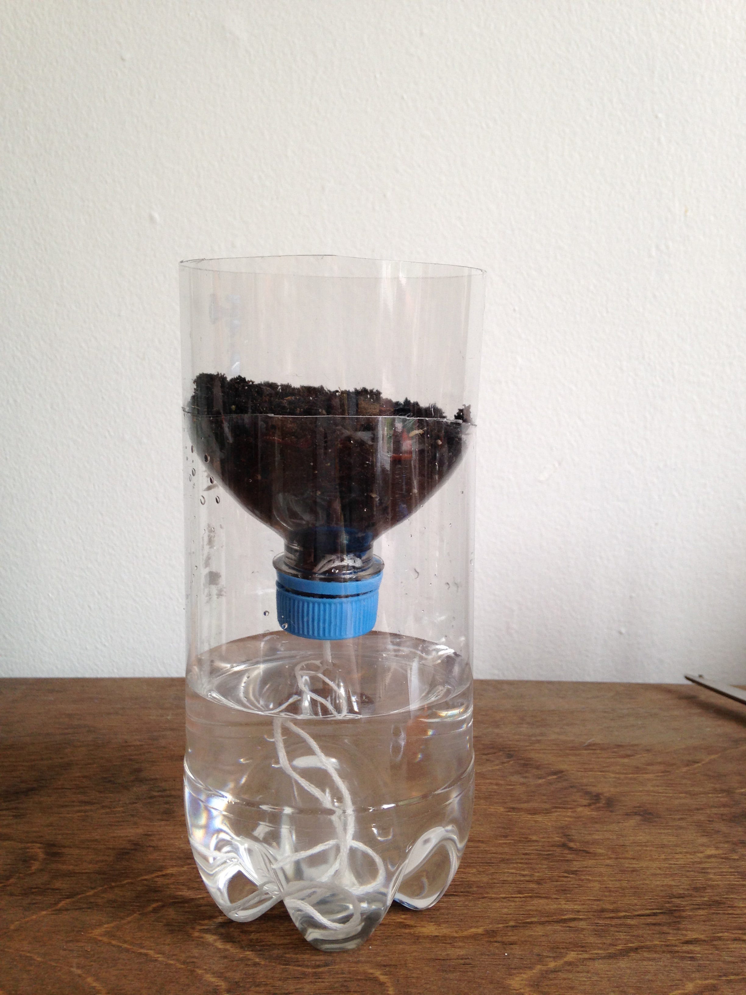 DIYes! Self Watering Plastic Bottle Planters by SmartGirls Staff