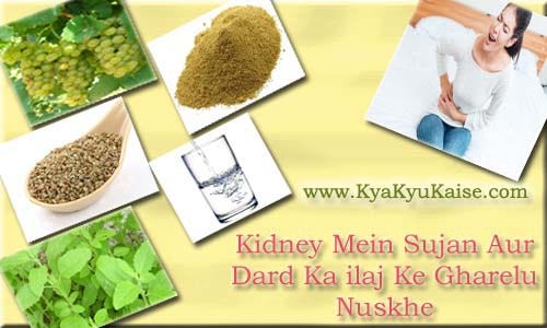 Kidney Mein Sujan aur Dard ka Gharelu ilaj ke 3 Ramban Upay by Govind