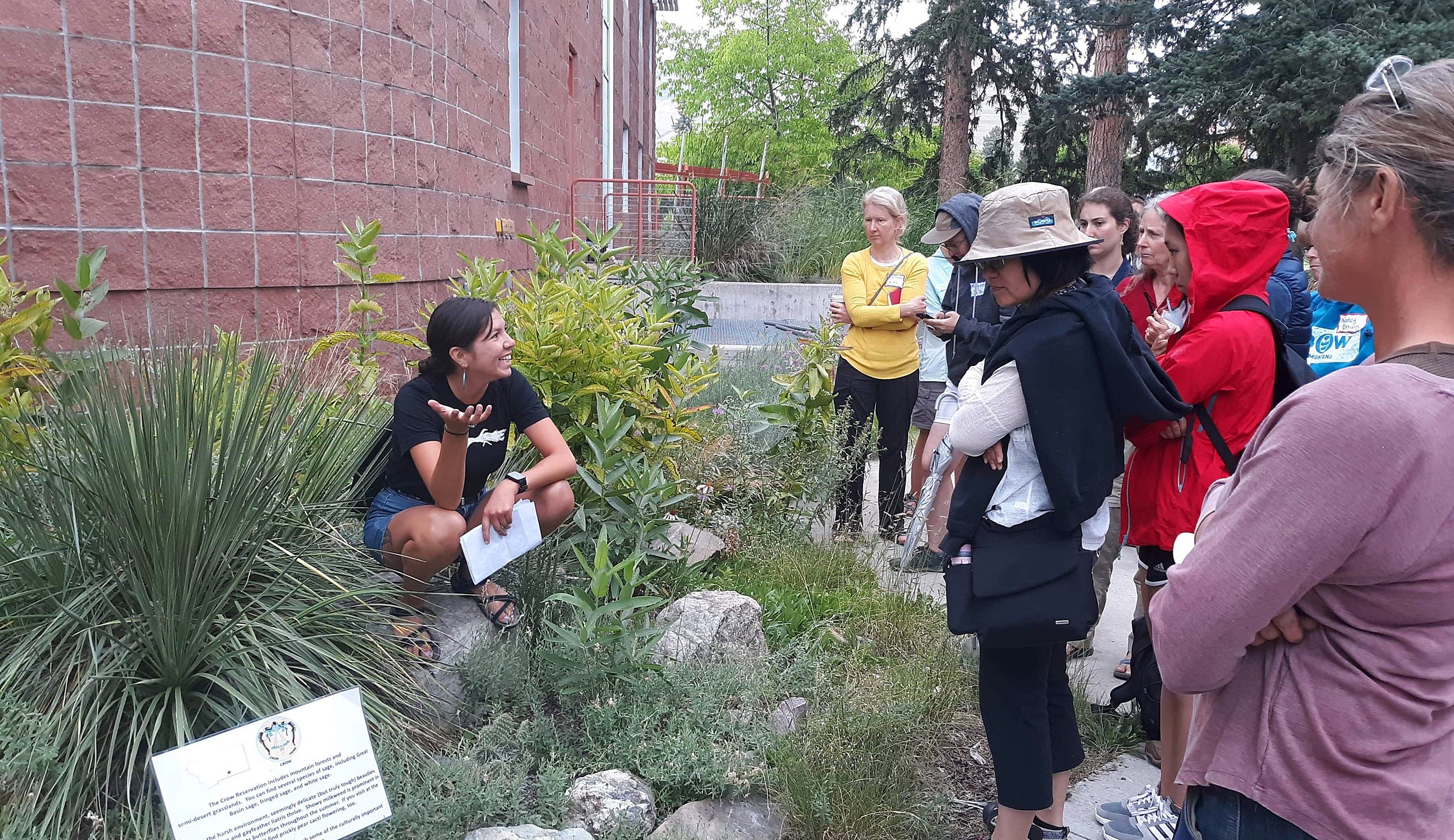 Walk In Clinic Garden City Ny East Meadow's Premier Care