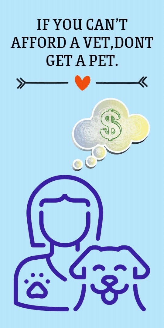 If you cant afford a vet, Don’t get a pet. by The Carolina Howler