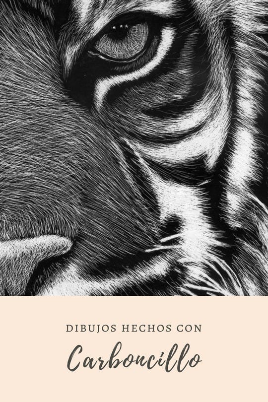 DIBUJO MODELADO carboncillo ️. El carboncillo es uno de DIBUJO MODELADO carboncillo ️. El carboncillo es uno de
