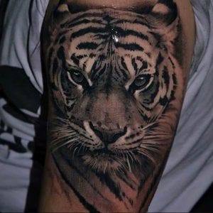 Tiger Tattoos And Their Meanings. Tiger Tattoos: Meaning And Symbolism | By Jhaiho | Medium 300_x_300_jpg