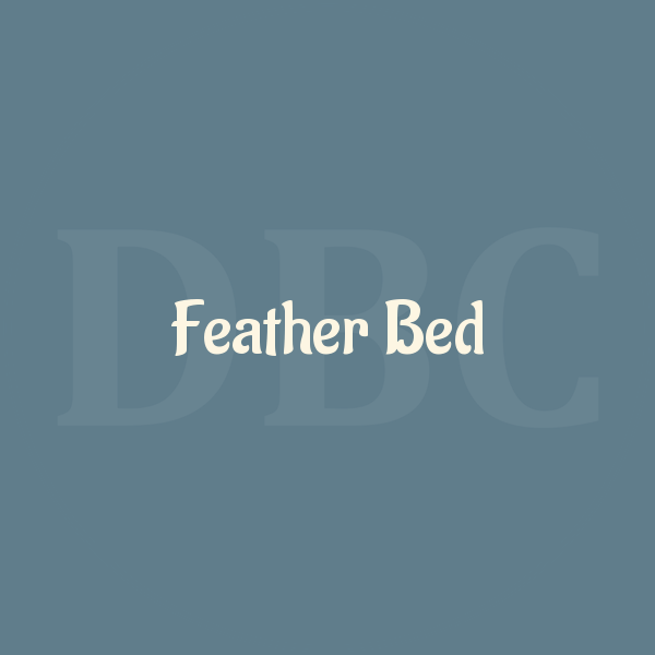 Guitar Chords Feather Bed — Fruit Bats by Muhammad Agus DB Chord
