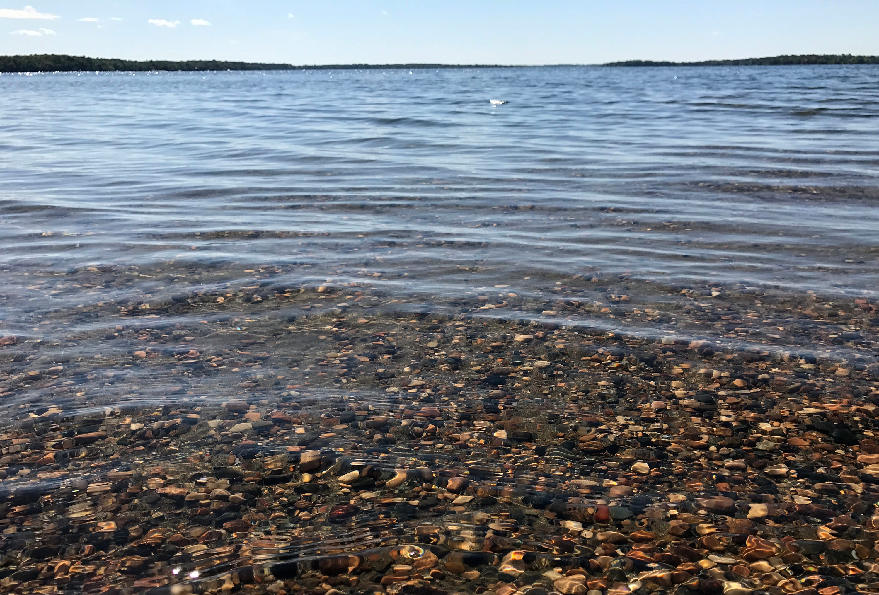 Lake Ida Clear, cold, in danger of degrading by Minnesota Board of