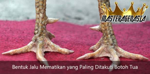 Bentuk Jalu Mematikan yang Paling Ditakuti Botoh Tua | by Meisya Lincoln |  Medium