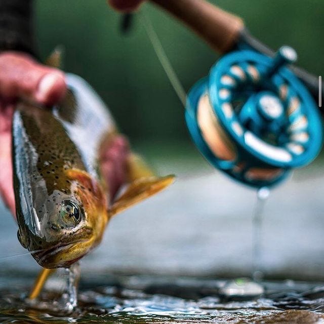 Best Fishing Line For Trout. Monofilament, fluorocarbon, and braided