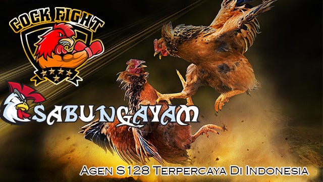 Kredibilitas Situs Agen Sabung Ayam Online S128 Terbaik | by Ayu Yuliana |  Medium