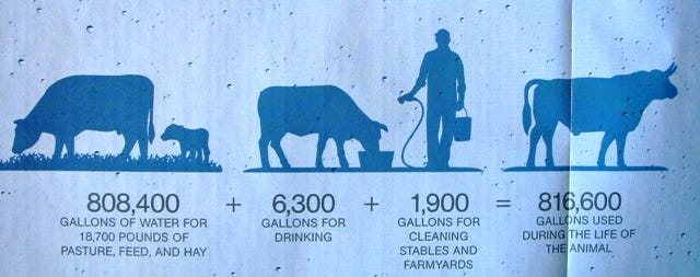 How Much Water Is Needed To Produce 1kg Of Beef Beef Poster