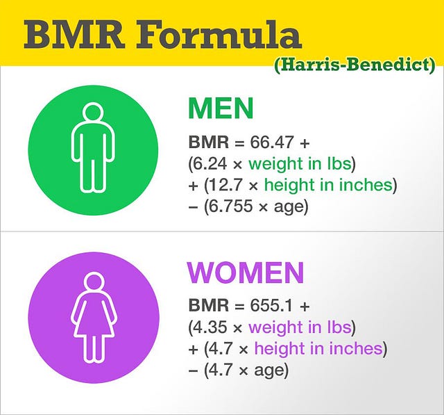 BMR in Women vs. Men. Basal Metabolic Rate. Your BMR is the… by Got