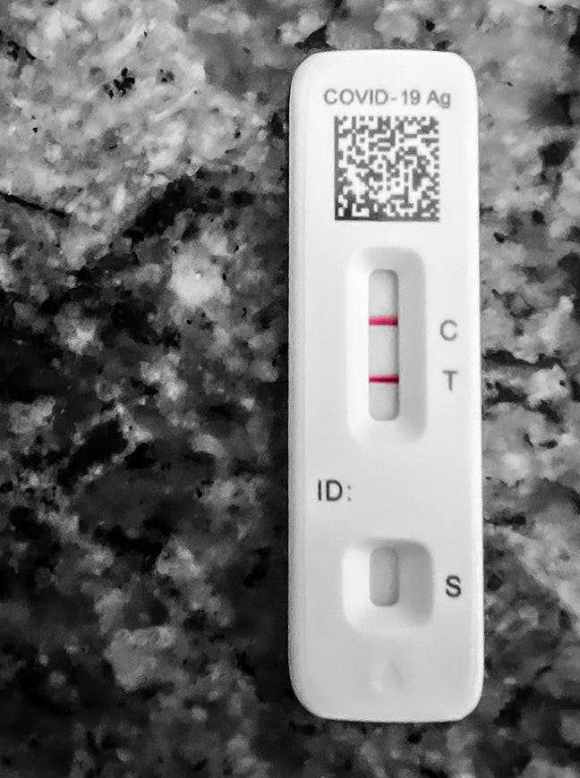 COVEROID — (what a magical time…) by Sara Larca Oct, 2022 Medium