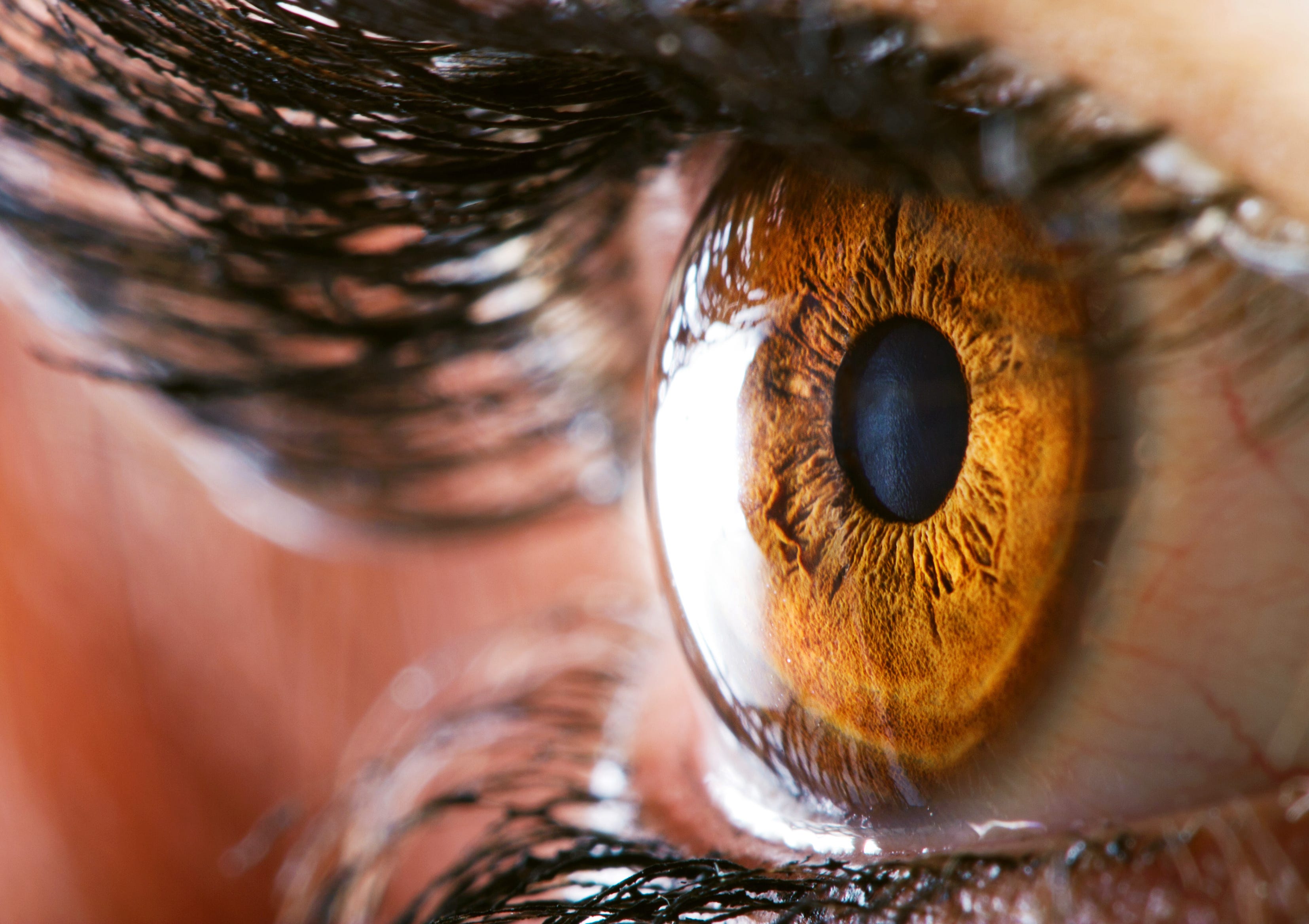 What’s the difference between a camera and a human eye? by Haje Jan