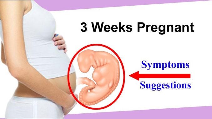 symptoms of 3 weeks pregnant pregnant twins
