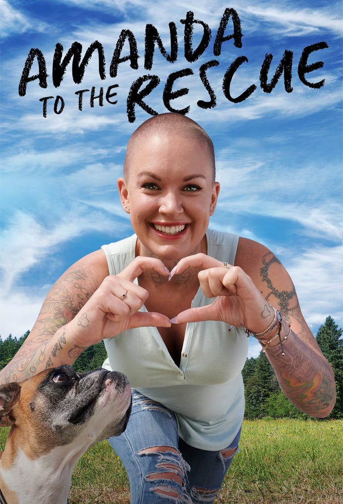 Amanda to the Rescue CAP 1 S2 2019 Sub español by Zakary