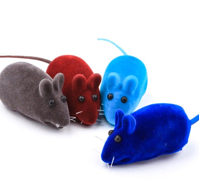 The Rat Chase. Stuck in the rat race? You can get out. by Ola Nikeh