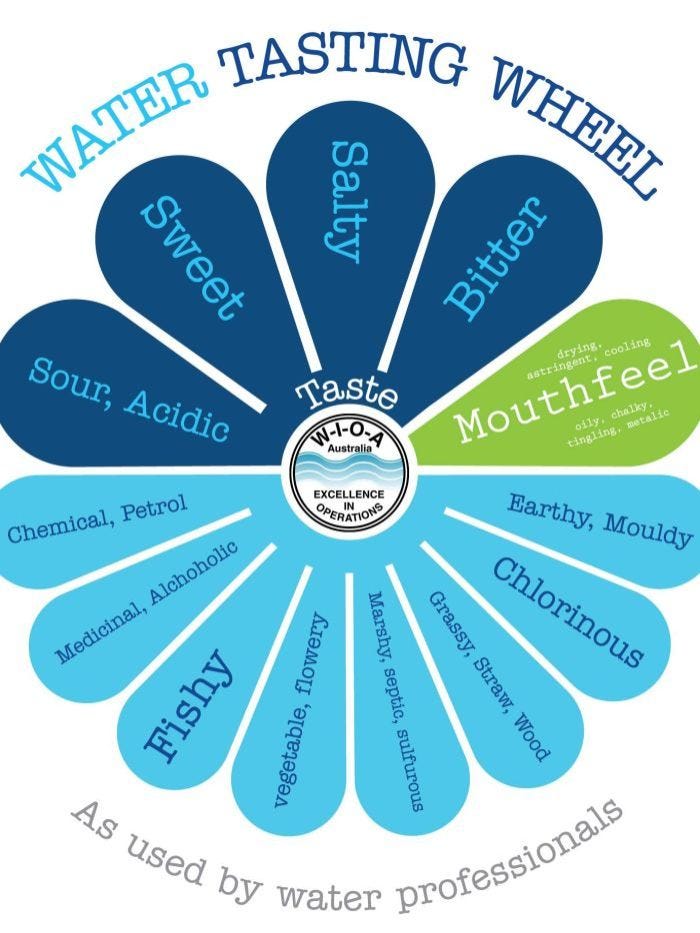 Toowoomba named as city with best drinking water in Australia by