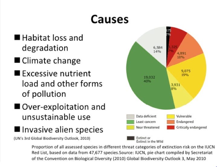 Habitat Loss. A habitats a form of the natural… by Romilka Gonzalez