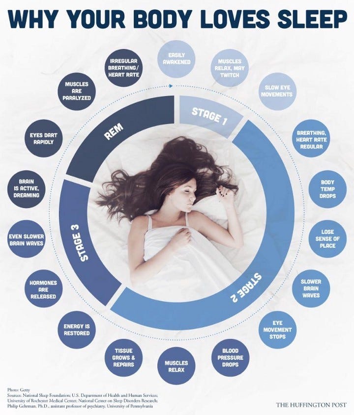 Health The Importance of Sleep. Why do we need sleep