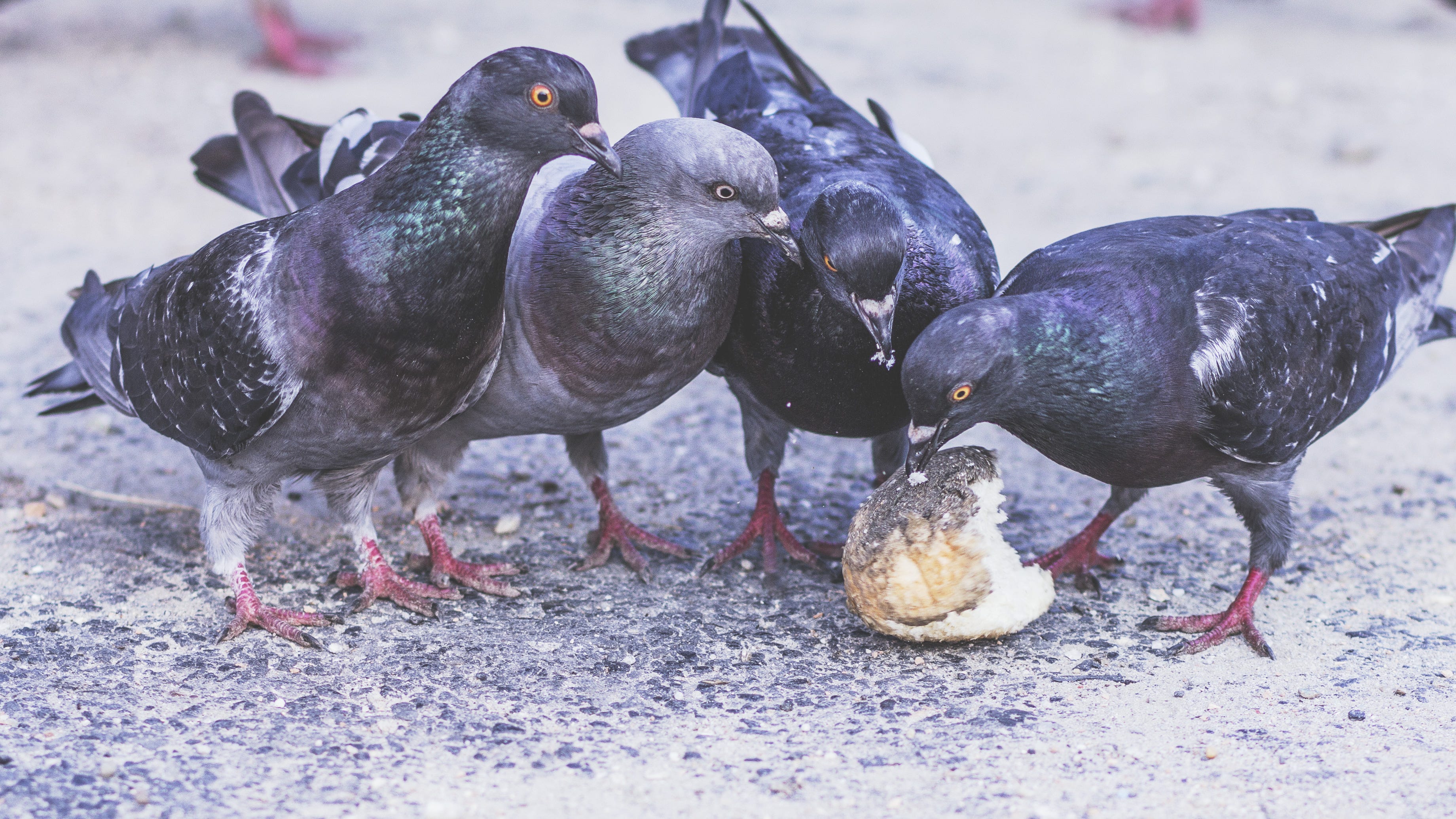 What Happens When I Cast My Bread Upon the Waters? by
