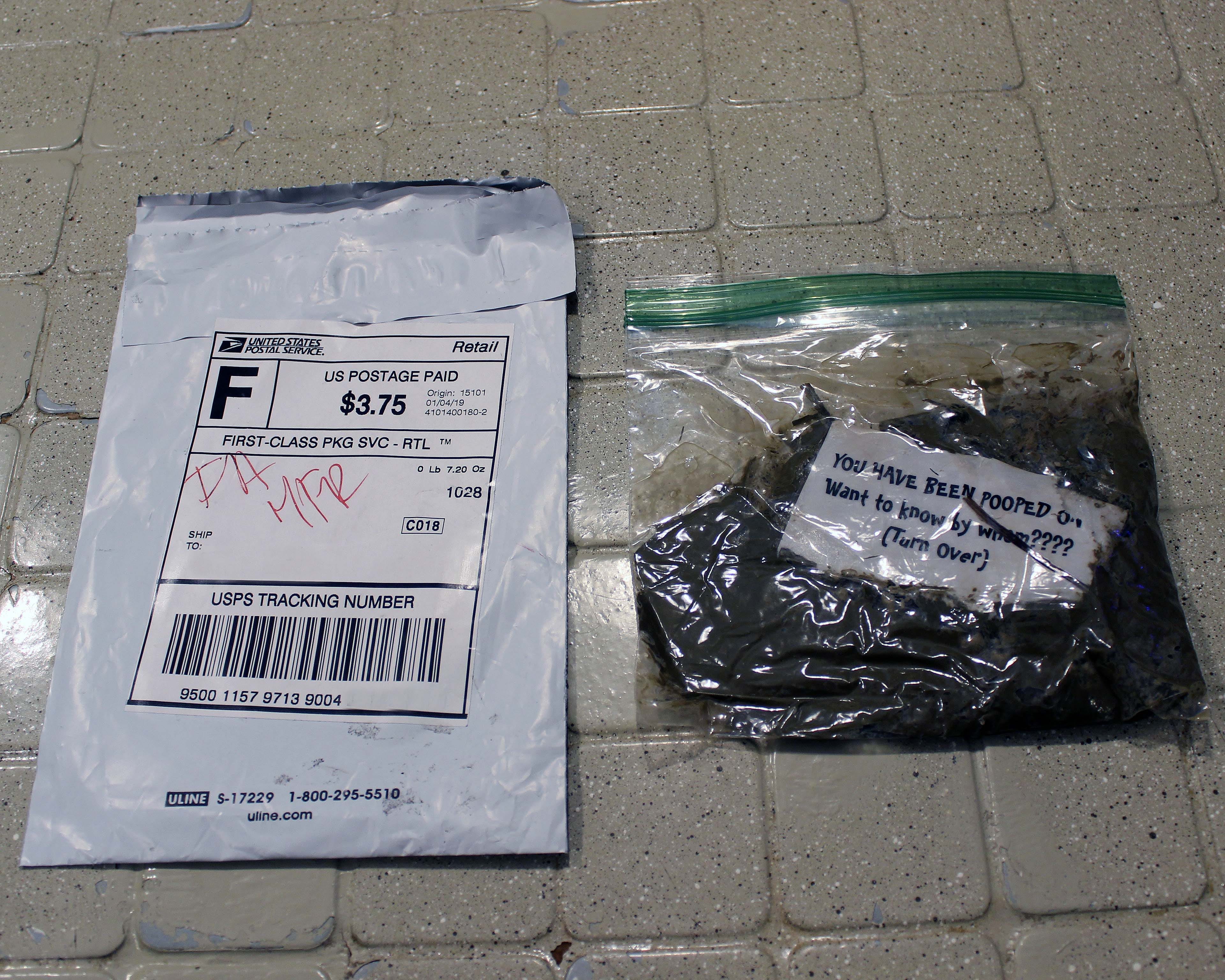 A New Kind of Movement I received poop in the mail by Kathy Bugajsky