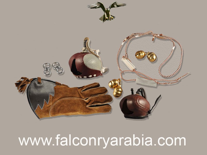 Things You Need to Know About Falconry Training by Falconry Arabia