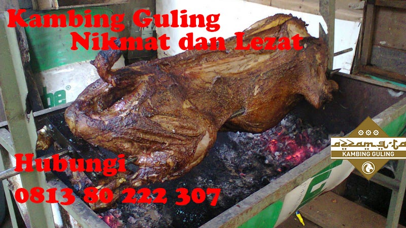 MURAH!! Jual Kambing Guling di Tajur 0813 80 222 307 | by Azzam Qta Kambing  Guling | Medium